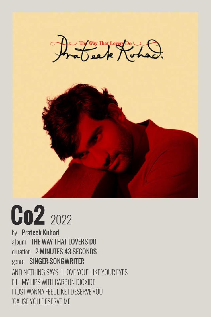 Prateek Kuhad: C02 Aesthetic wall poster