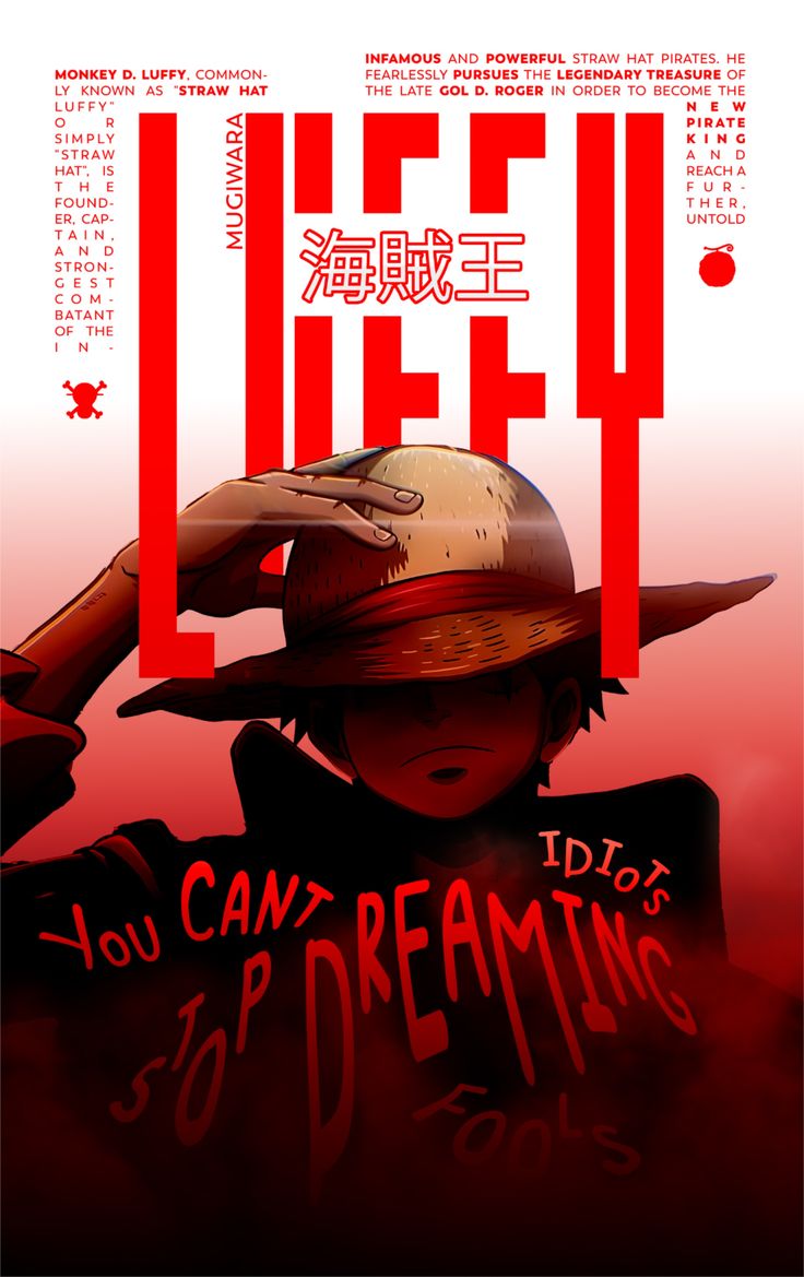 Luffy- Rise of the Pirate King